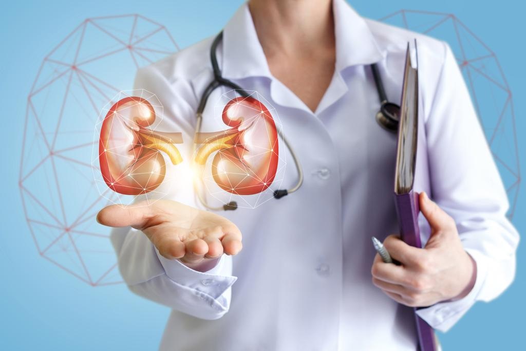 Protect Your Health with Kidney Screening Programs