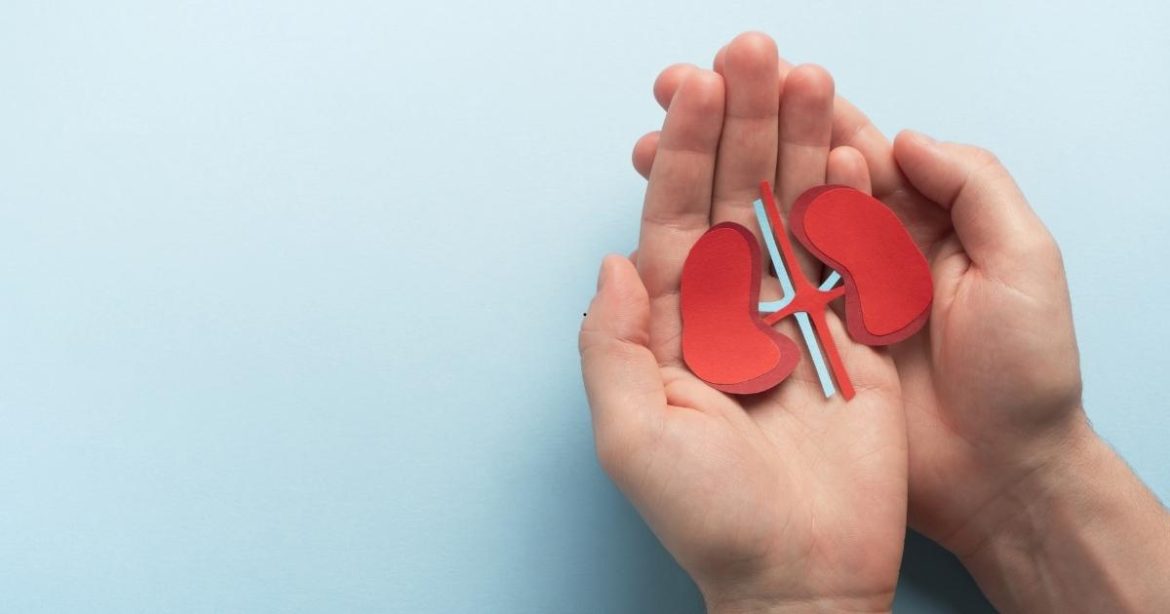 Silent Kidney Problems: Early Signs Your Kidneys Need Attention